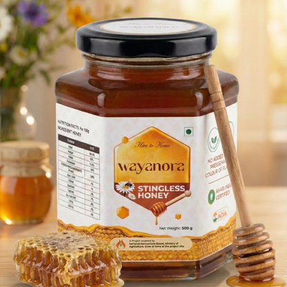 Stingless Bee Honey – Medicinal Honey Rich in Antioxidants